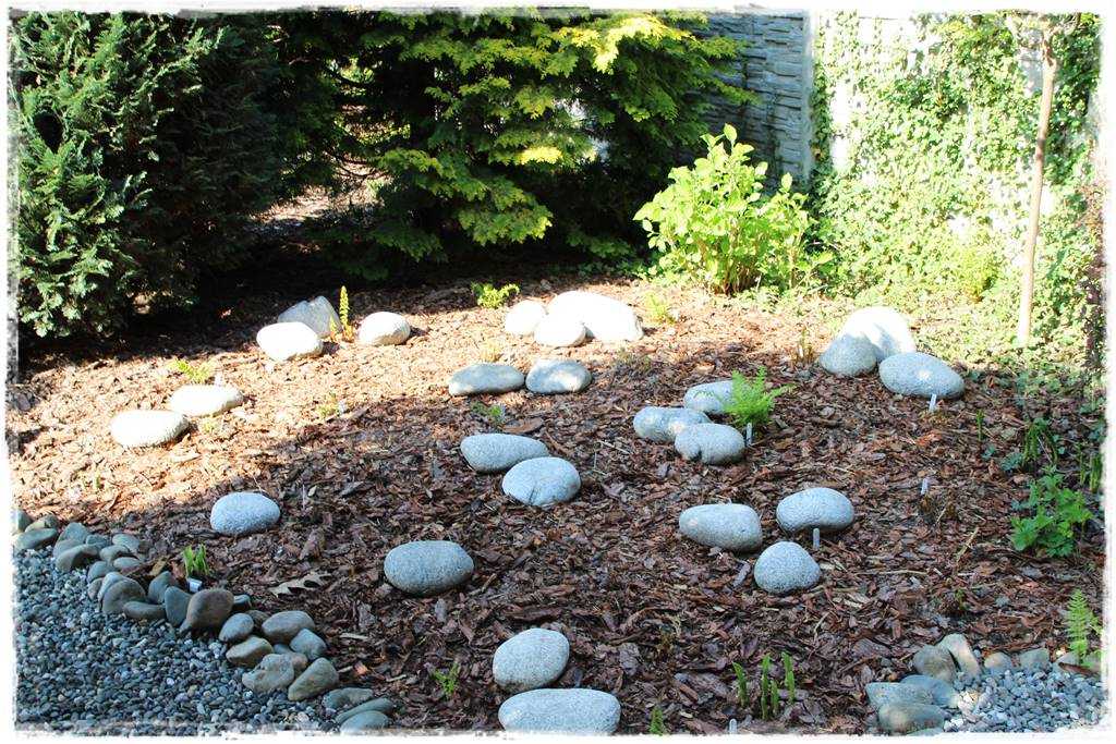 Jak wysypać korę w ogrodzie 8 Jak wysypać korę w ogrodzie 8