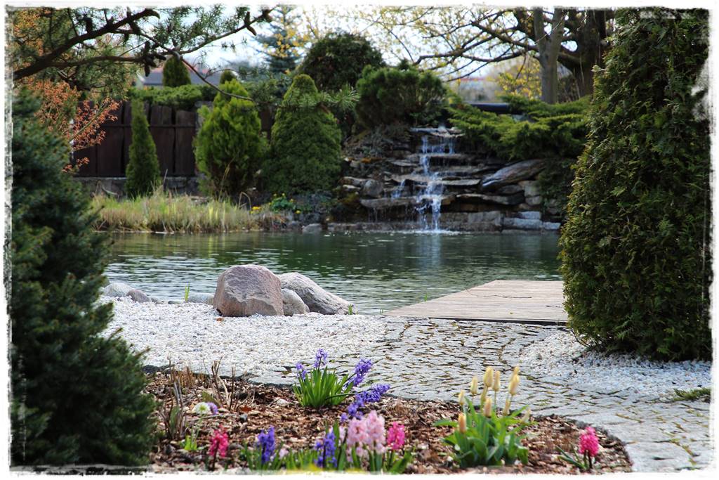 Jak wysypać korę w ogrodzie 9 Jak wysypać korę w ogrodzie 9