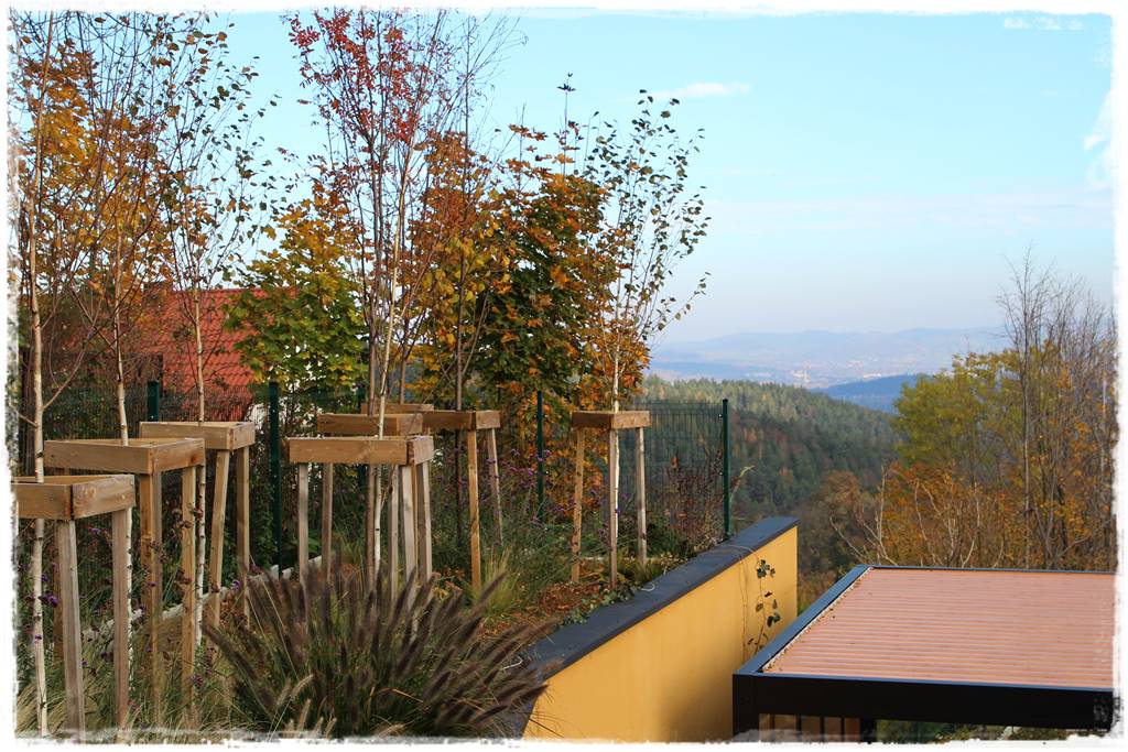 Lewitujące schody 25 Lewitujące schody 25