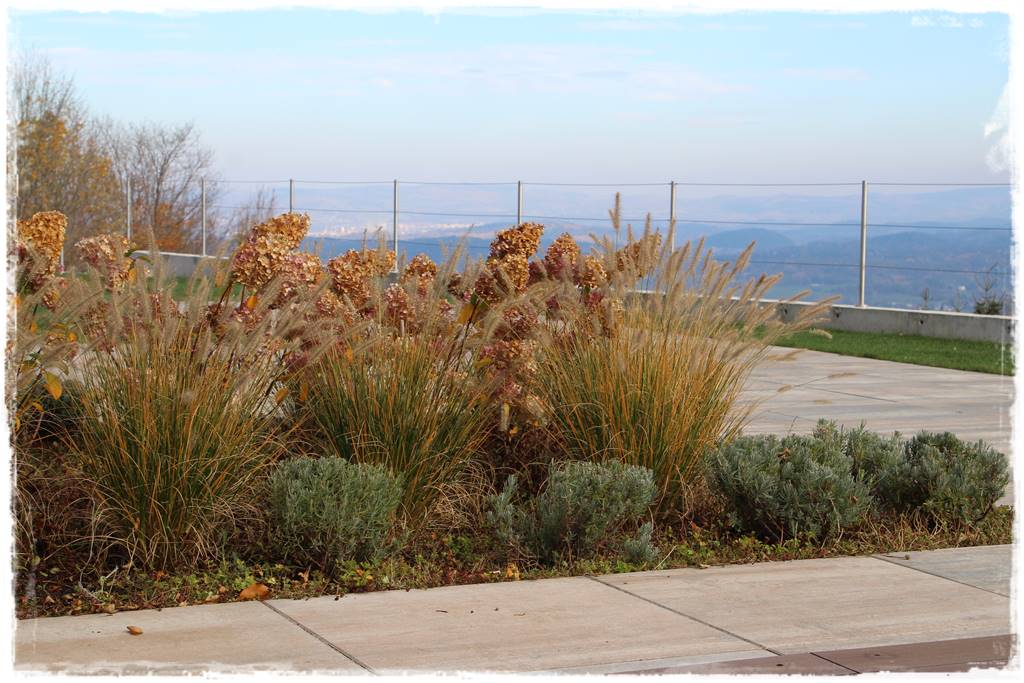 Lewitujące schody 306 Lewitujące schody 306