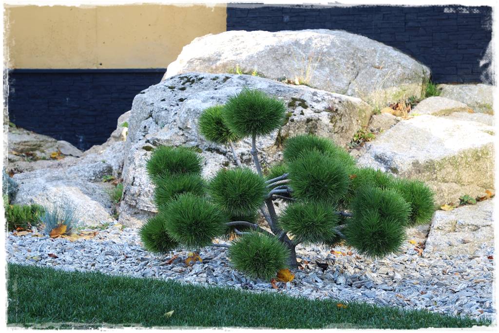 Lewitujące schody 308 Lewitujące schody 308