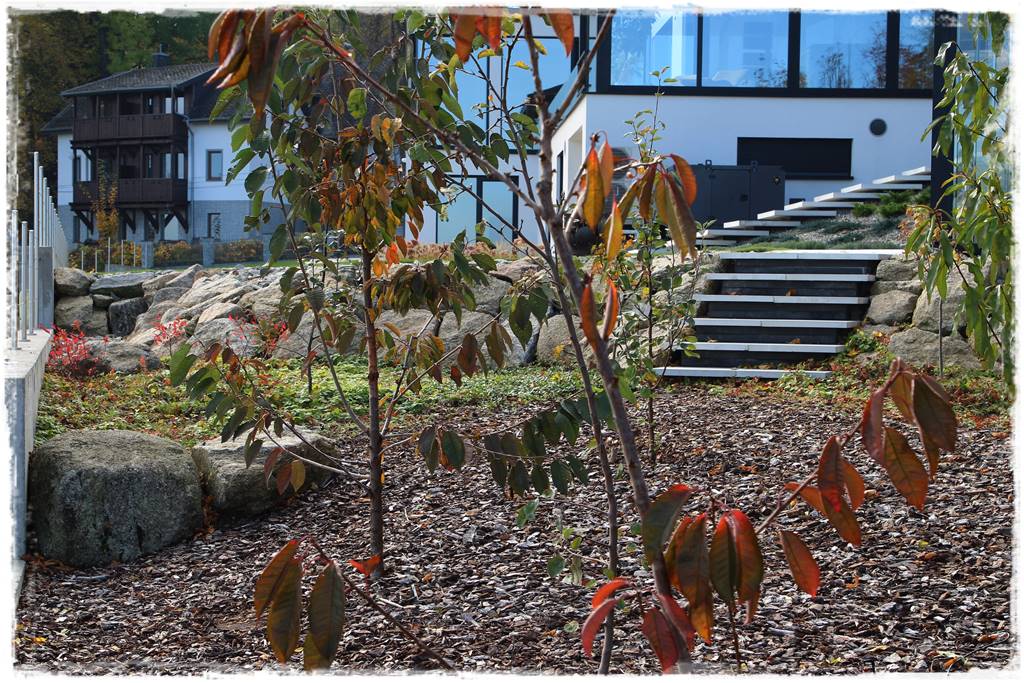 Lewitujące schody 322 Lewitujące schody 322