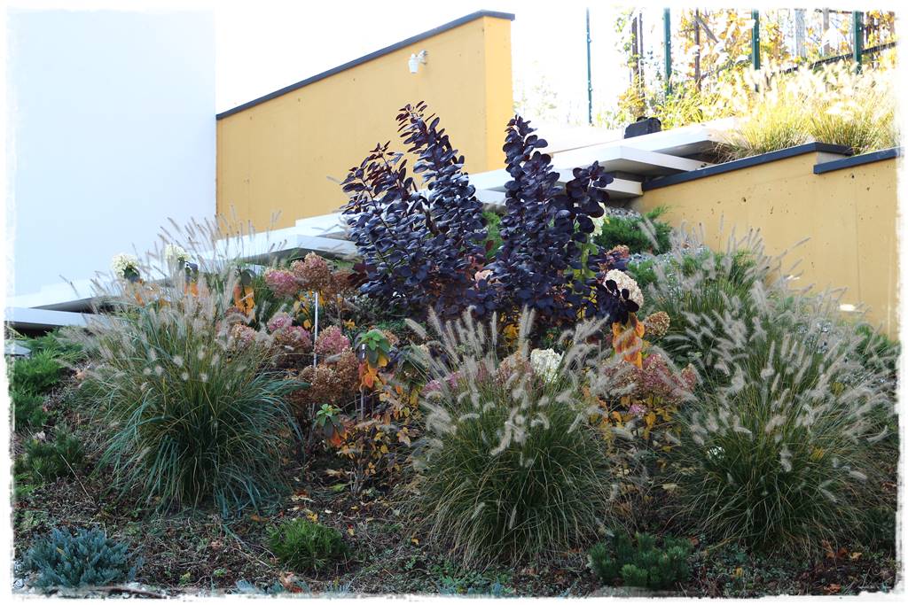 Lewitujące schody 329 Lewitujące schody 329