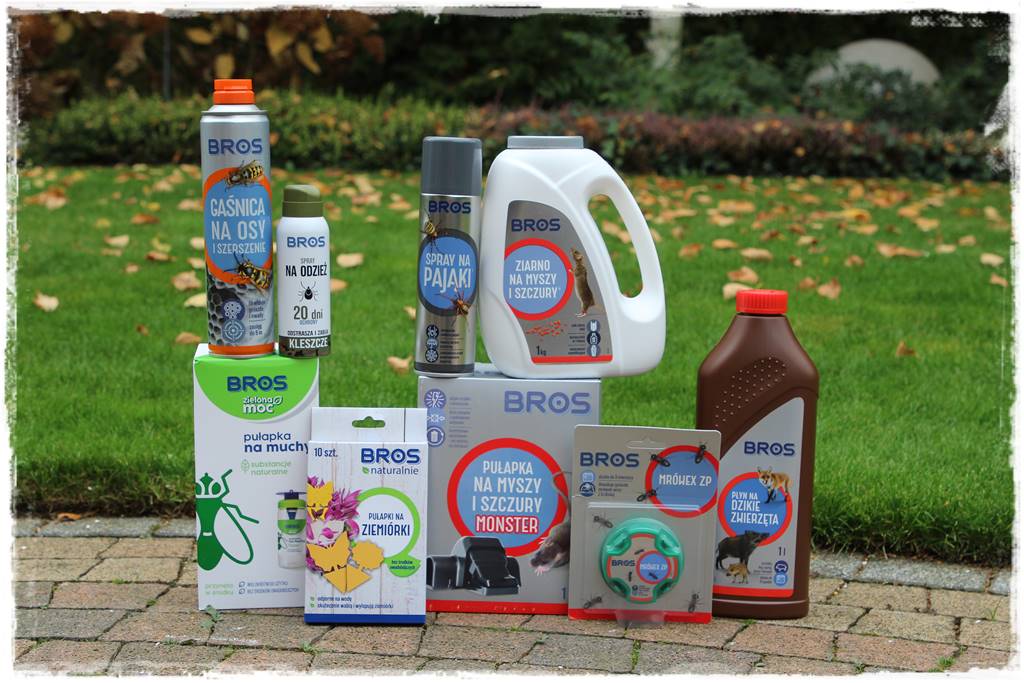 Ogród geometryczny 101