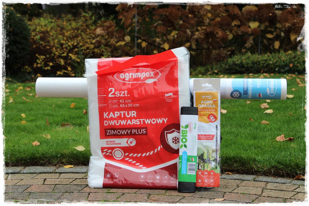 Ogród geometryczny 102