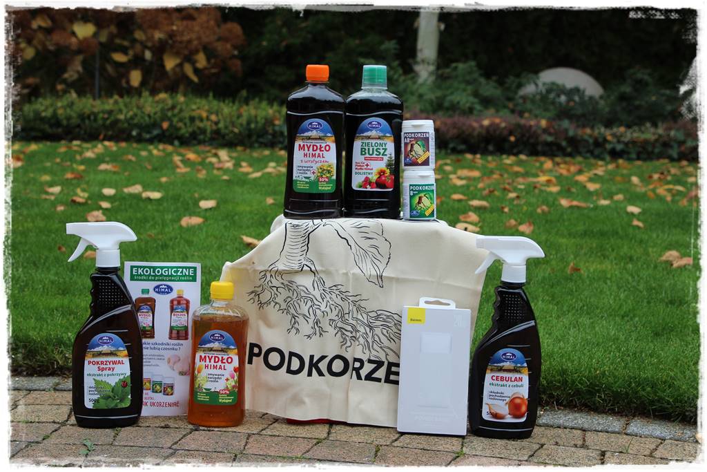 Ogród geometryczny 104