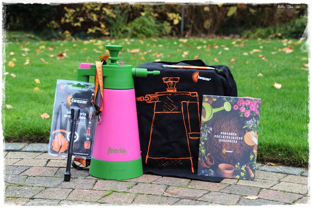 Ogród geometryczny 107