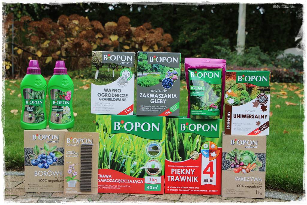 Ogród geometryczny 108