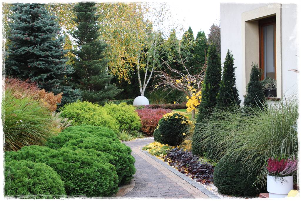 Ogród geometryczny 11