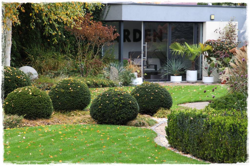 Ogród geometryczny 12