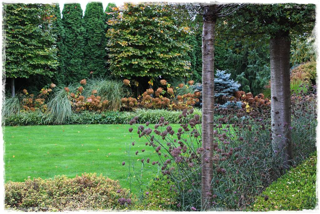 Ogród geometryczny 13