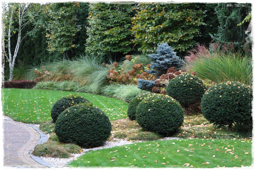 Ogród geometryczny 14 Ogród geometryczny 14