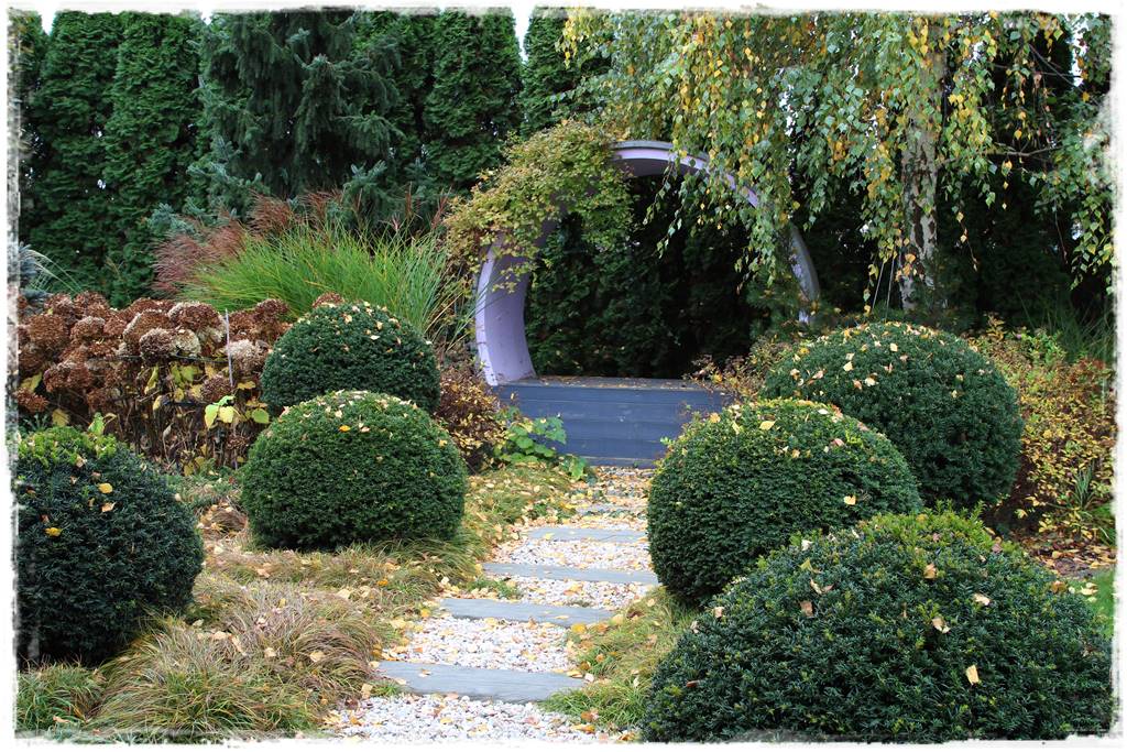 Ogród geometryczny 15 Ogród geometryczny 15