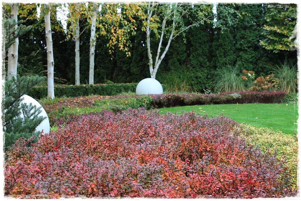 Ogród geometryczny 17 Ogród geometryczny 17