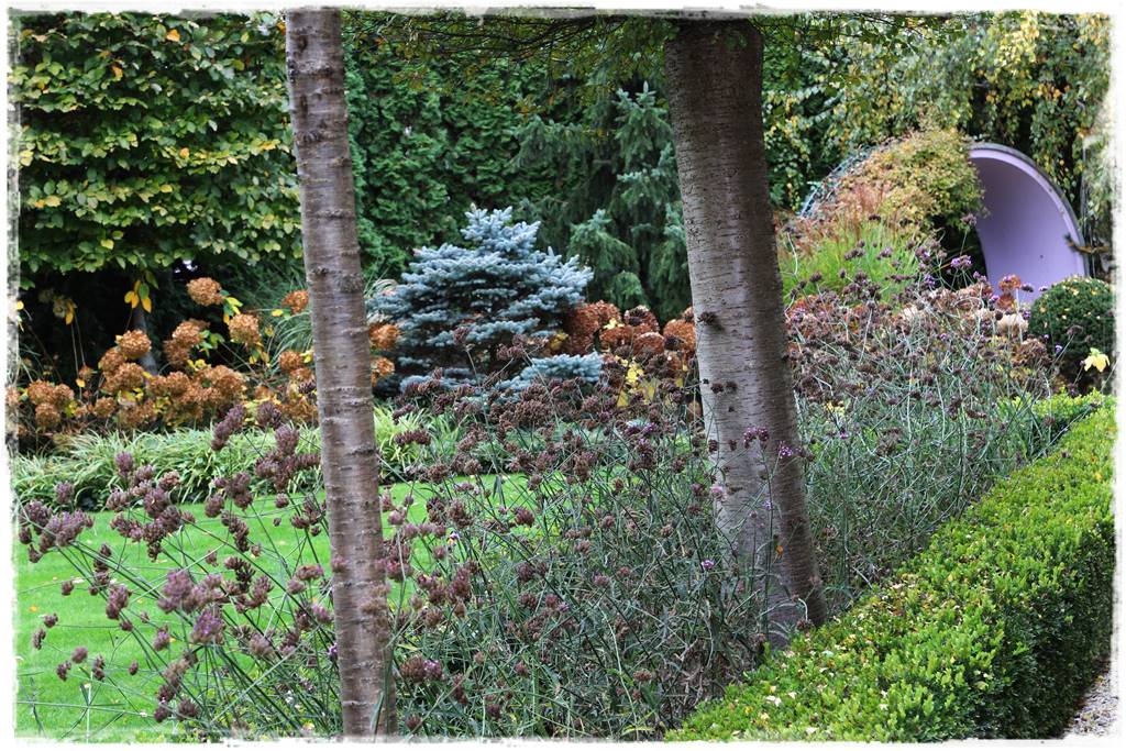 Ogród geometryczny 18 Ogród geometryczny 18