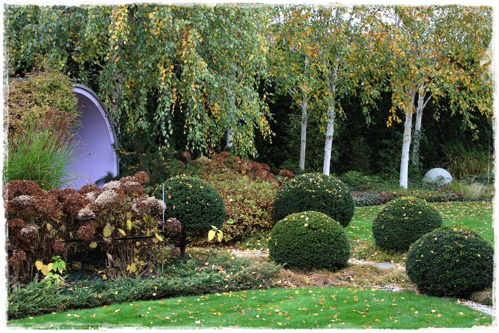 Ogród geometryczny 20 Ogród geometryczny 20