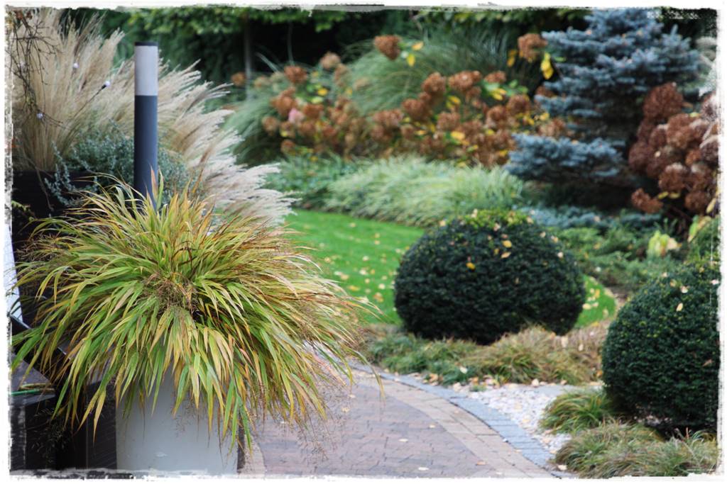 Ogród geometryczny 22 Ogród geometryczny 22