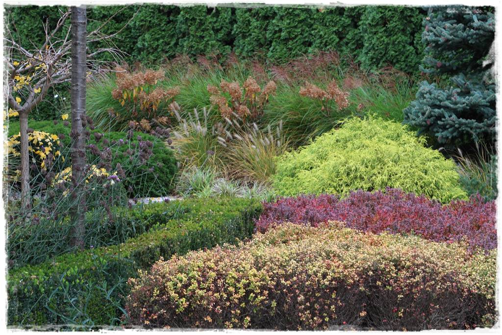 Ogród geometryczny 23 Ogród geometryczny 23