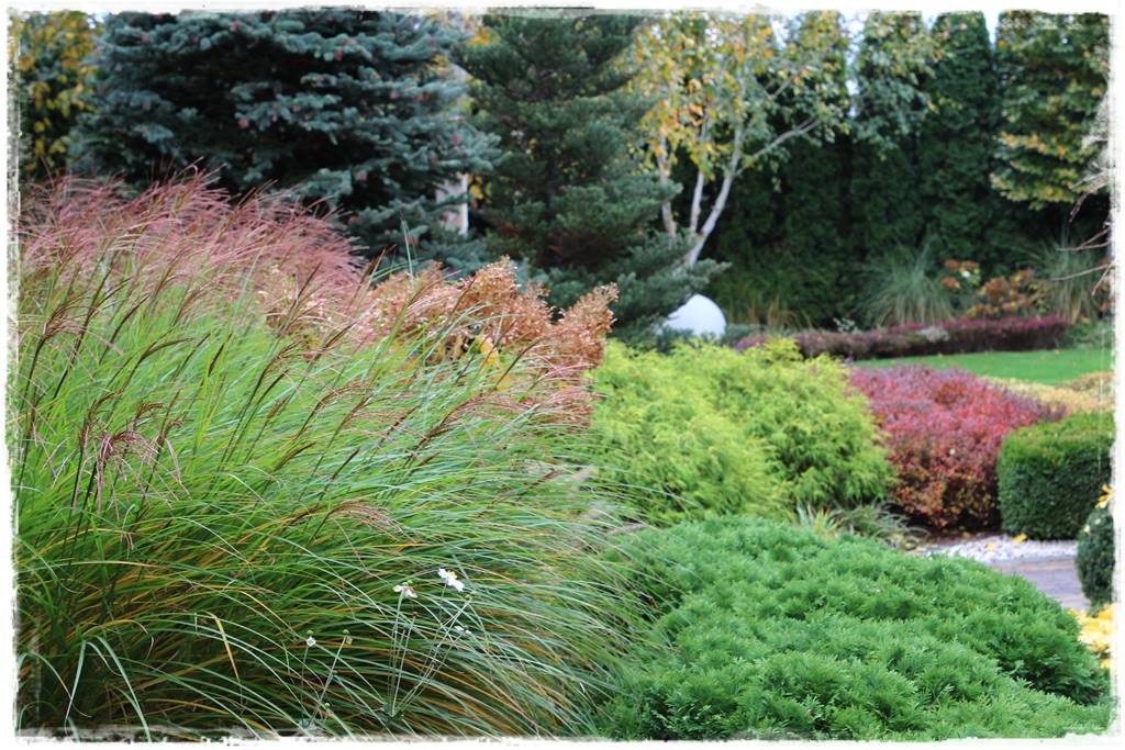 Ogród geometryczny 25 Ogród geometryczny 25