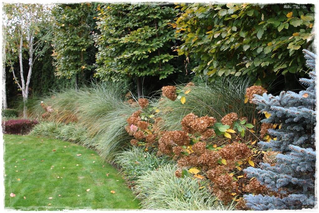 Ogród geometryczny 27 Ogród geometryczny 27