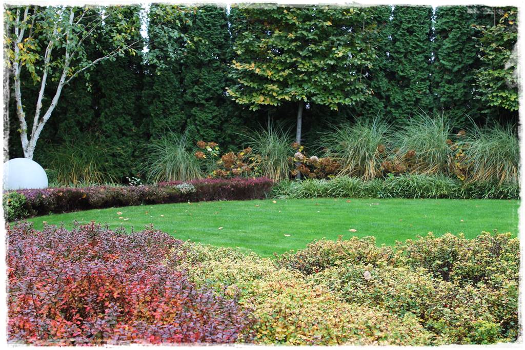 Ogród geometryczny 301 Ogród geometryczny 301