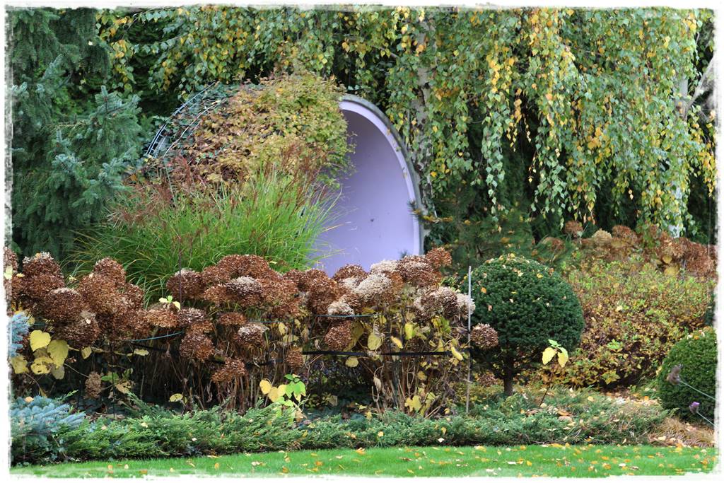 Ogród geometryczny 302 Ogród geometryczny 302