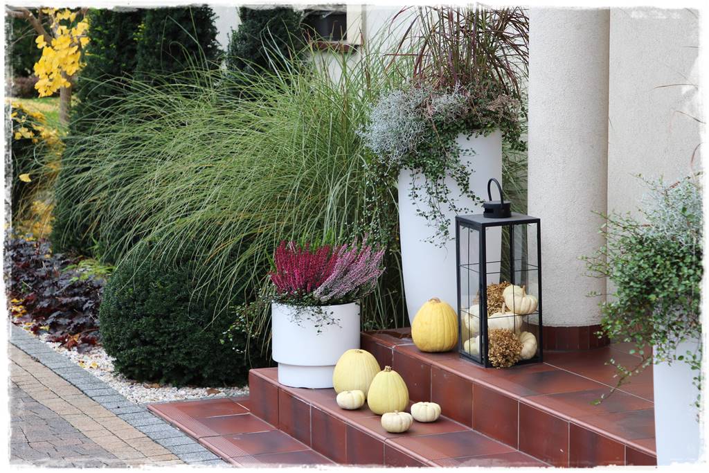 Ogród geometryczny 303 Ogród geometryczny 303