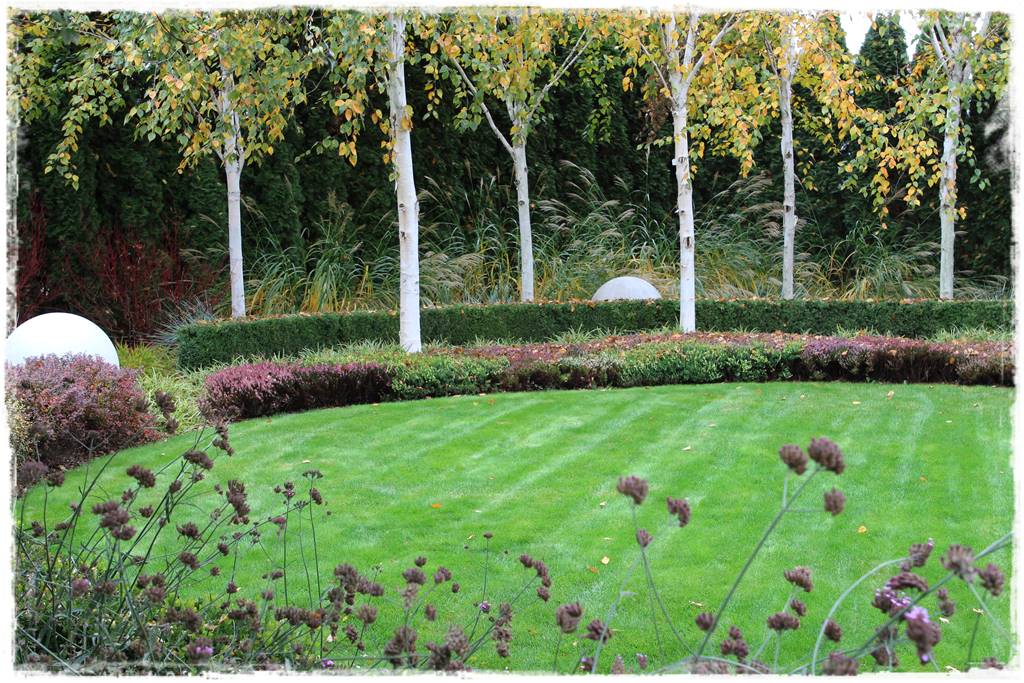 Ogród geometryczny 304 Ogród geometryczny 304