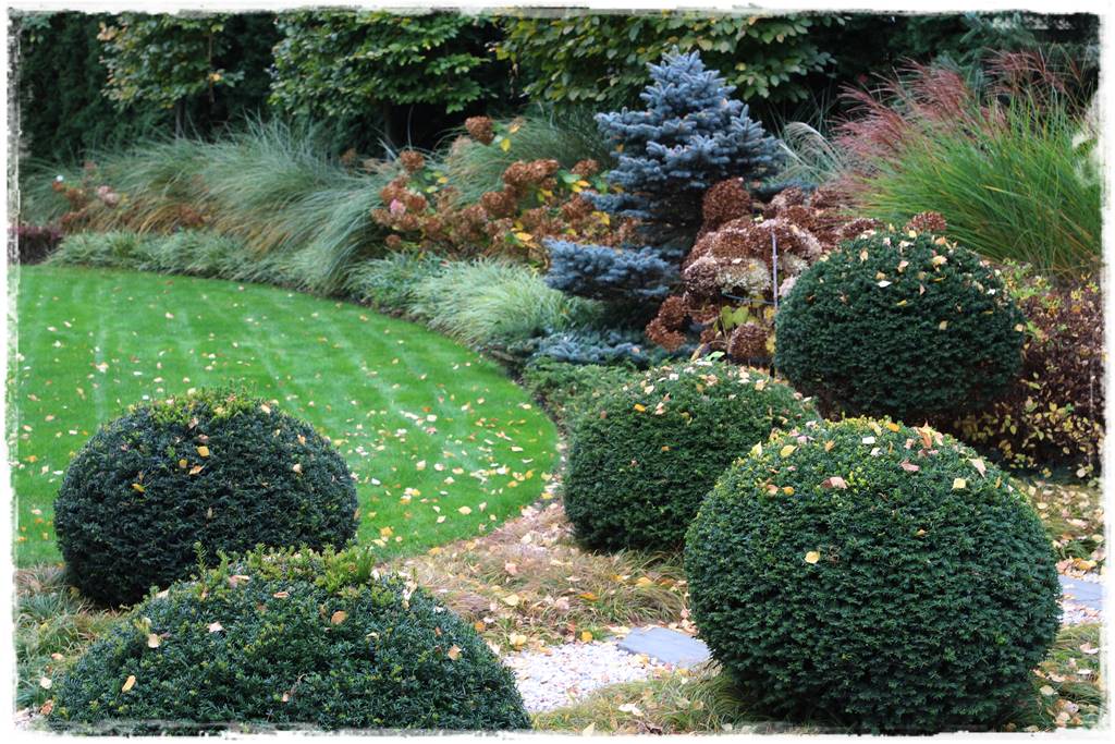 Ogród geometryczny 305 Ogród geometryczny 305