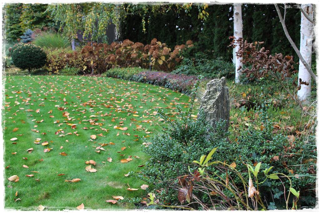 Ogród geometryczny 306 Ogród geometryczny 306