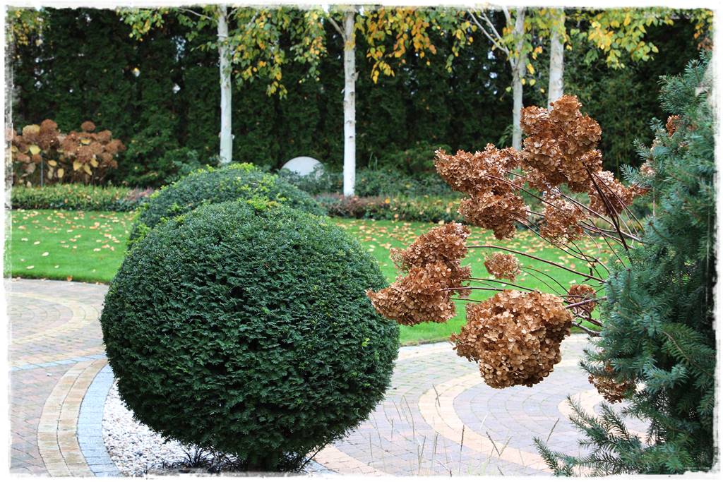 Ogród geometryczny 307 Ogród geometryczny 307