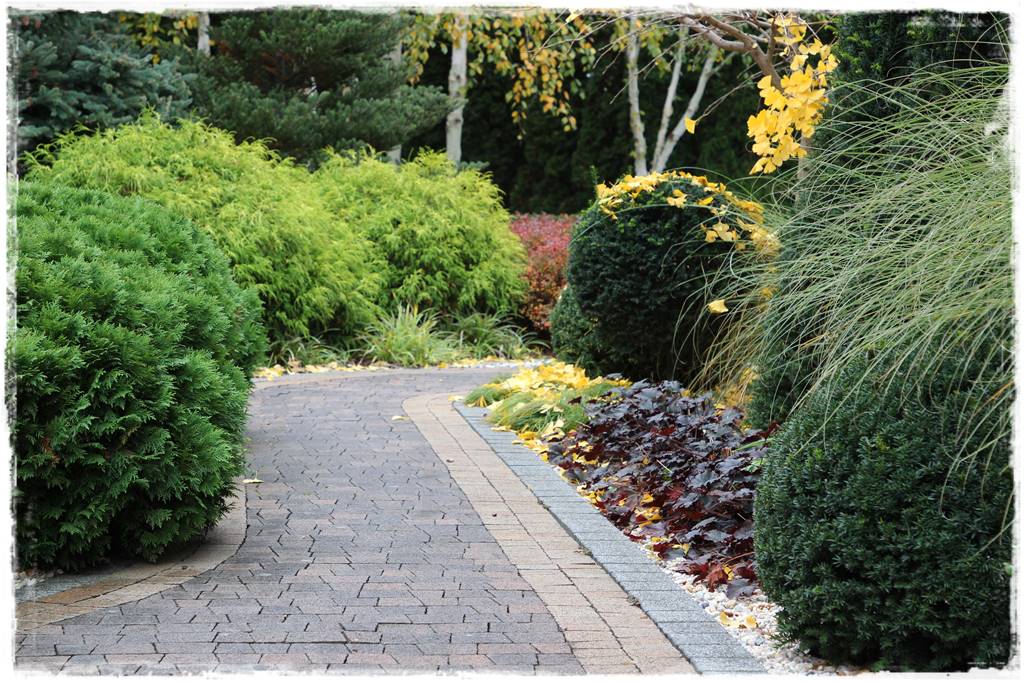 Ogród geometryczny 309 Ogród geometryczny 309