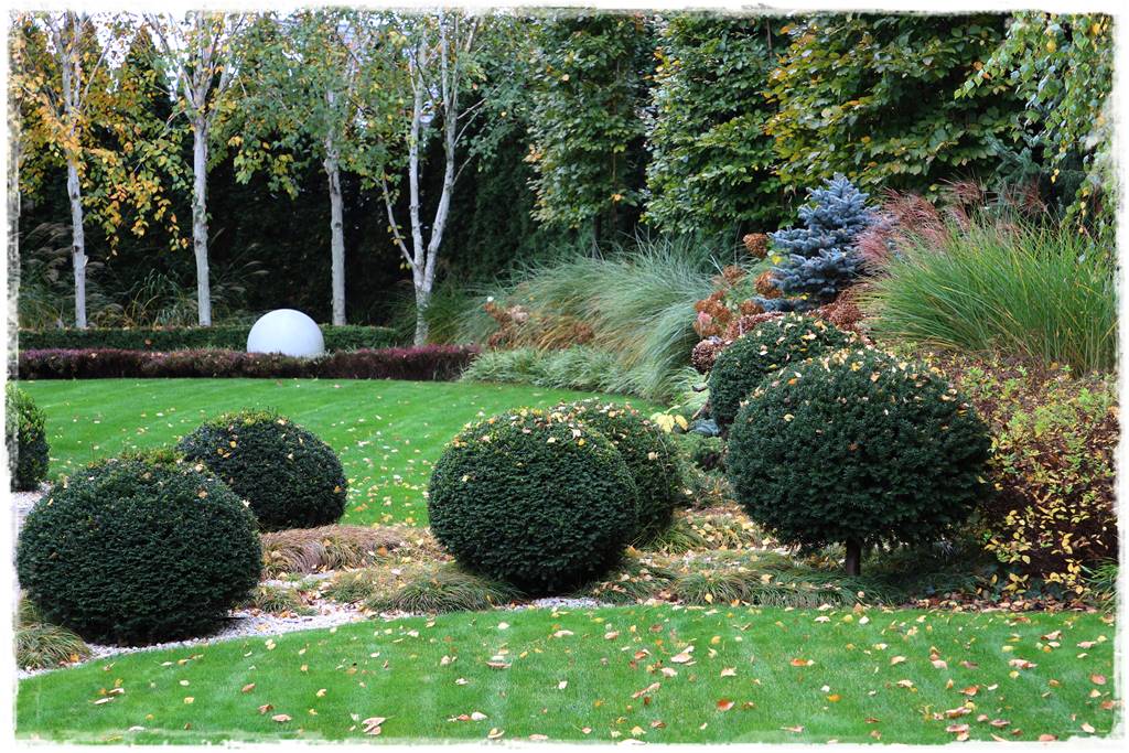 Ogród geometryczny 310 Ogród geometryczny 310