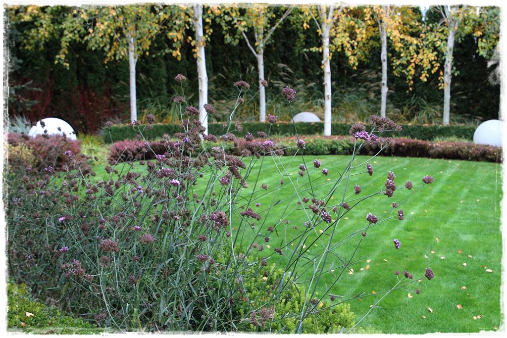 Ogród geometryczny 311 Ogród geometryczny 311