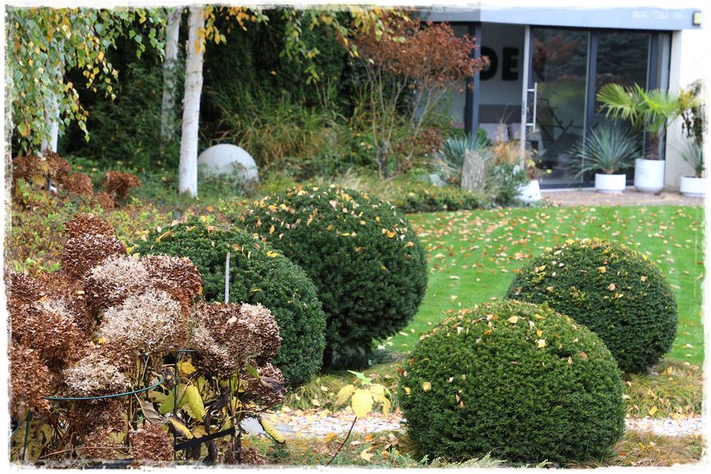 Ogród geometryczny 312 Ogród geometryczny 312