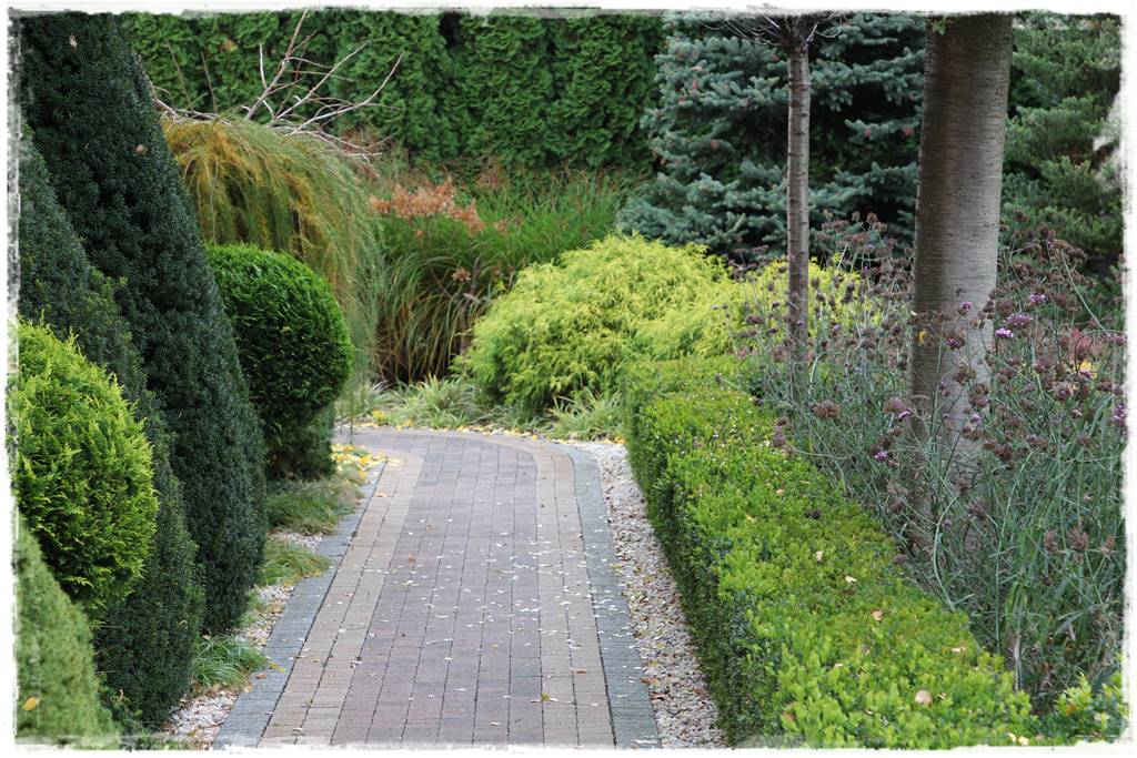 Ogród geometryczny 316 Ogród geometryczny 316