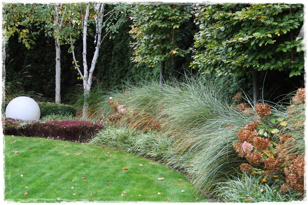 Ogród geometryczny 318 Ogród geometryczny 318