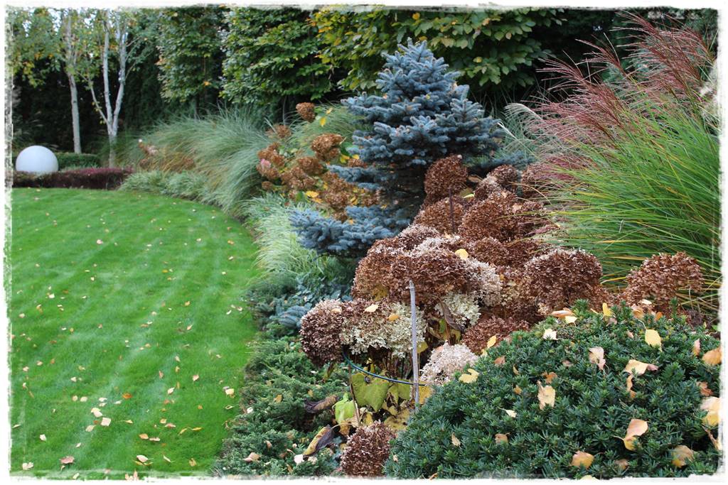 Ogród geometryczny 319 Ogród geometryczny 319