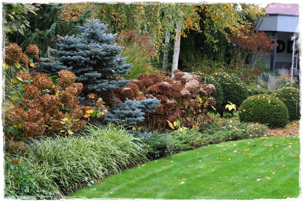 Ogród geometryczny 32 Ogród geometryczny 32