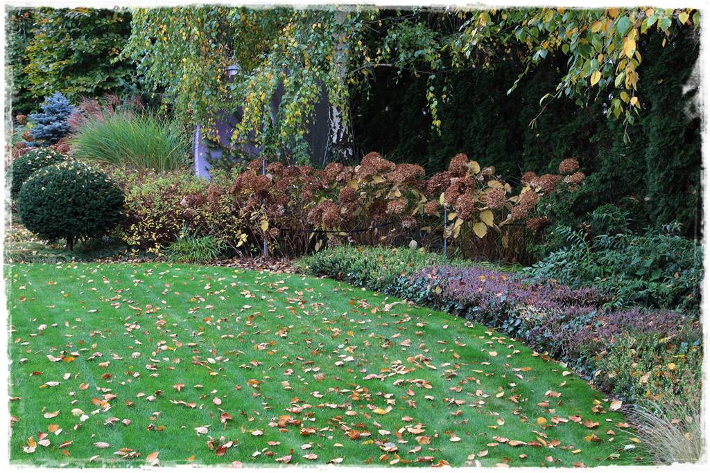 Ogród geometryczny 321 Ogród geometryczny 321