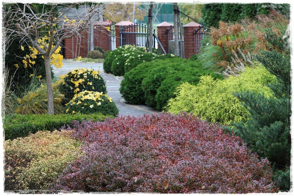 Ogród geometryczny 323 Ogród geometryczny 323