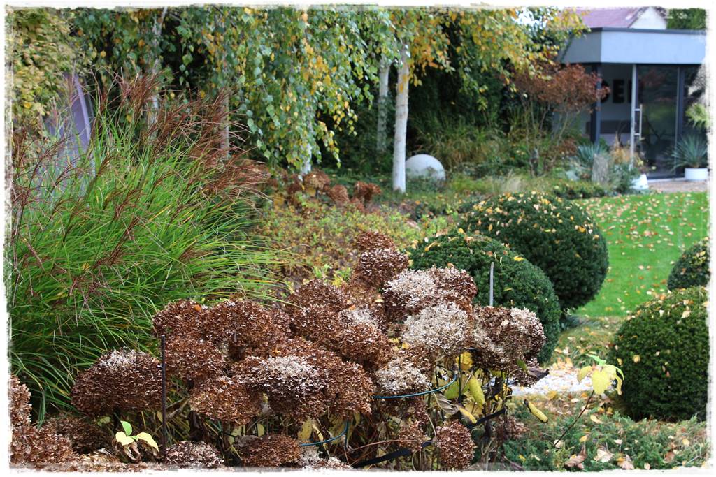 Ogród geometryczny 325 Ogród geometryczny 325