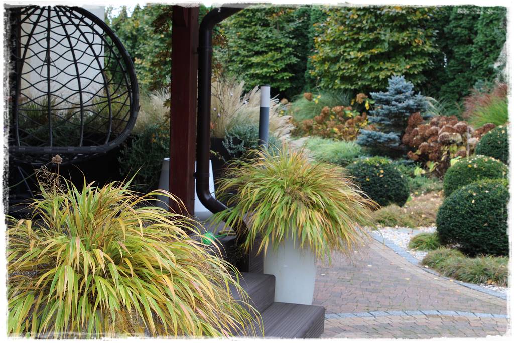 Ogród geometryczny 326 Ogród geometryczny 326