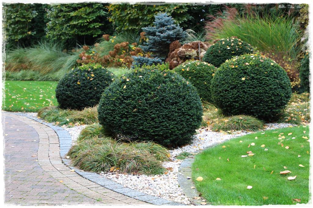 Ogród geometryczny 327 Ogród geometryczny 327