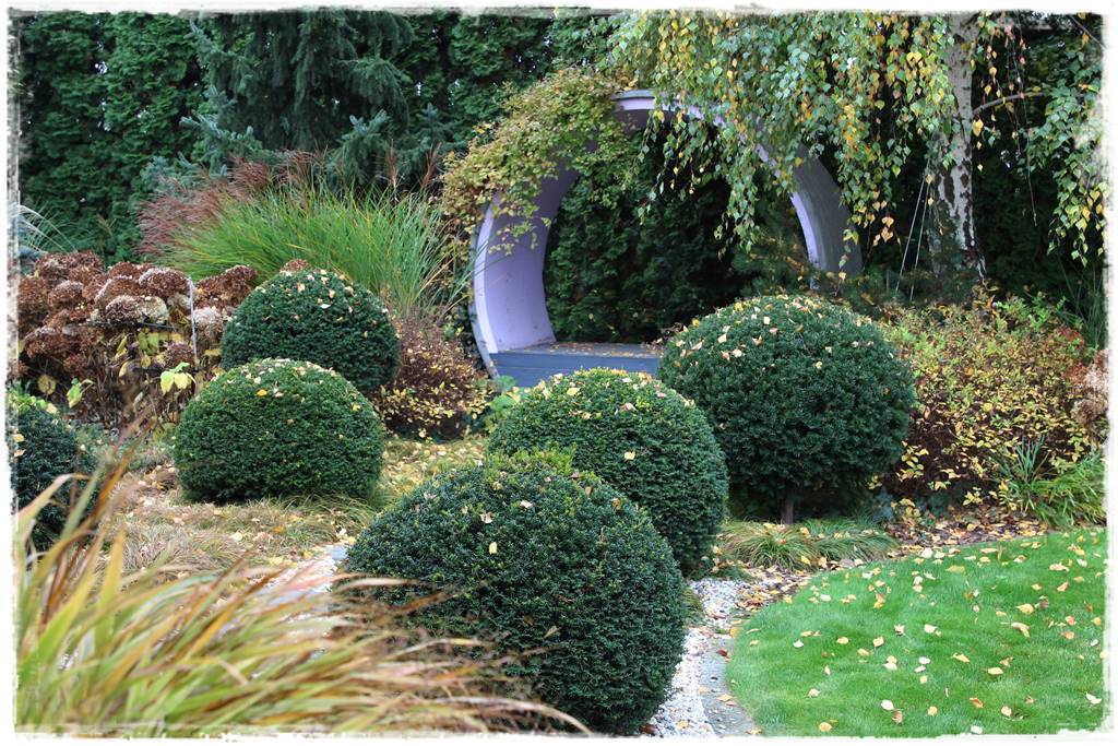 Ogród geometryczny 34