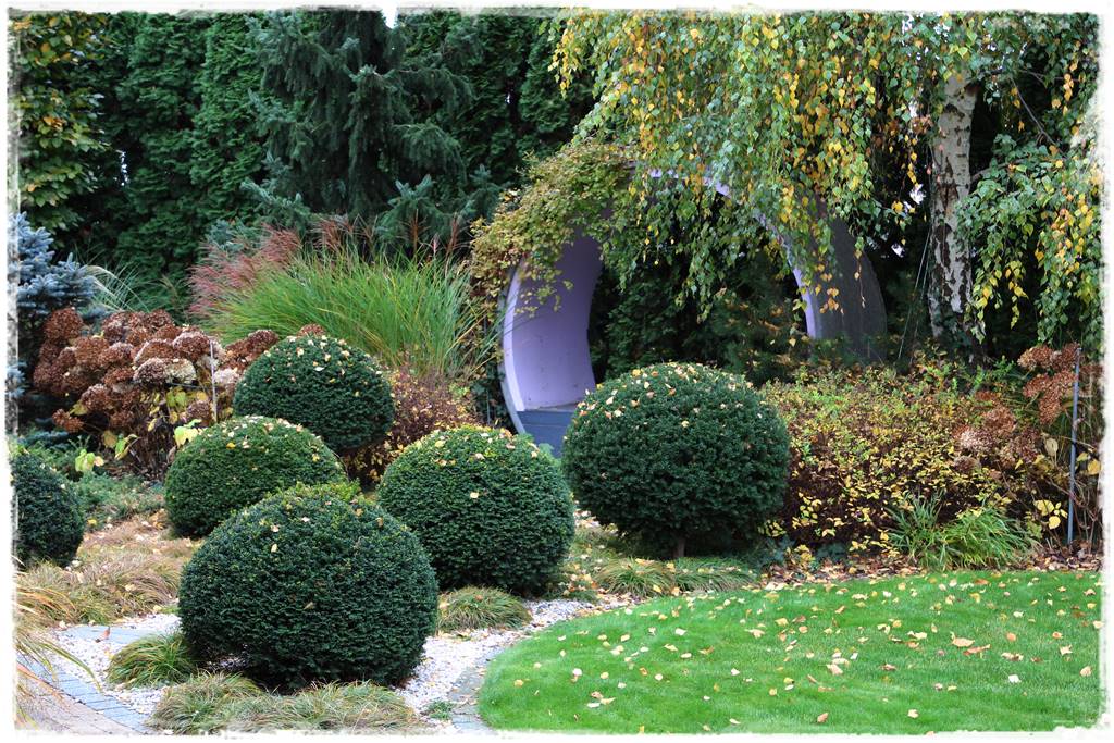 Ogród geometryczny 5 Ogród geometryczny 5