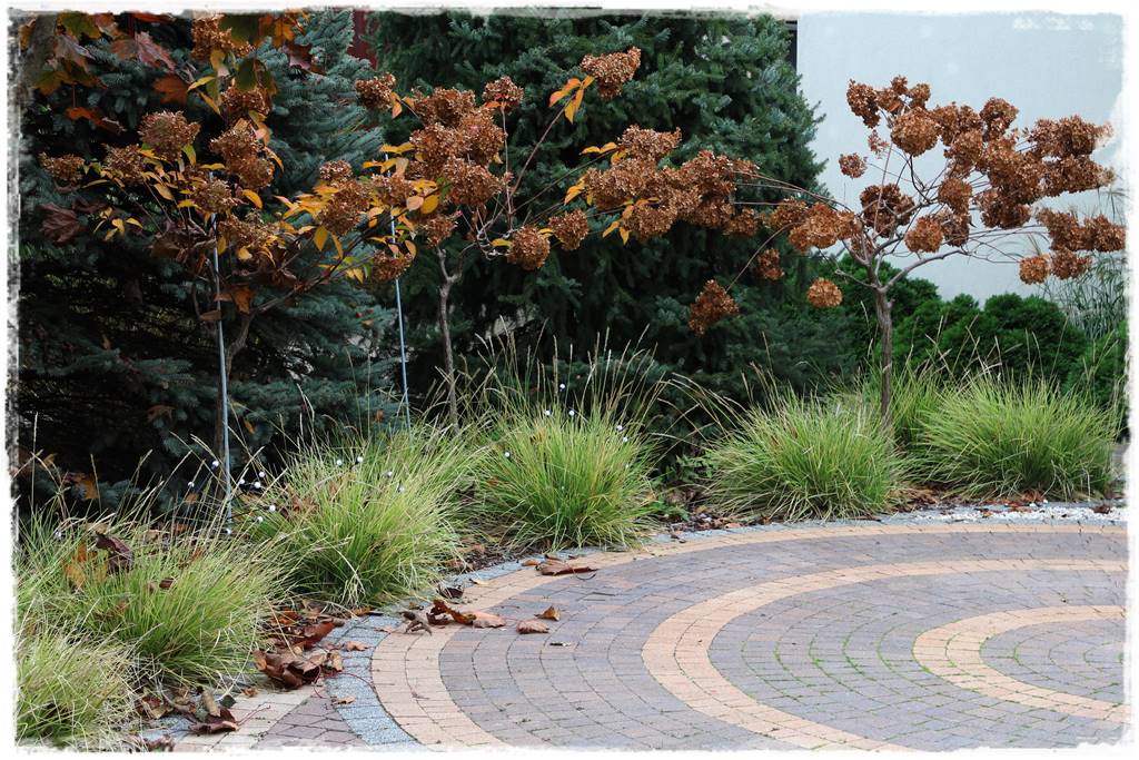 Ogród geometryczny 7 Ogród geometryczny 7