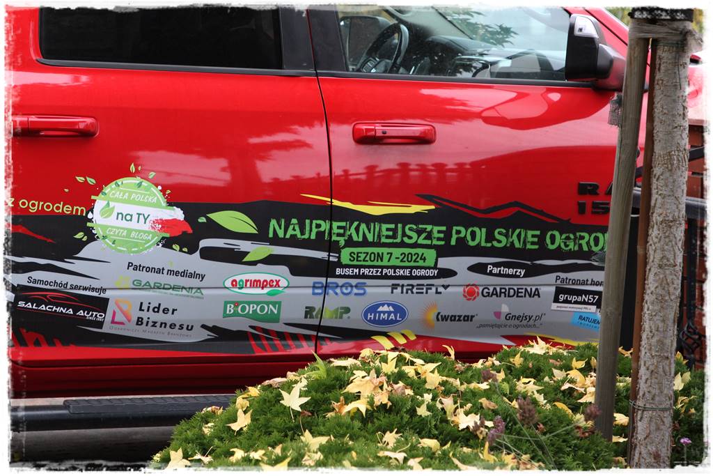 Ogród geometryczny 99