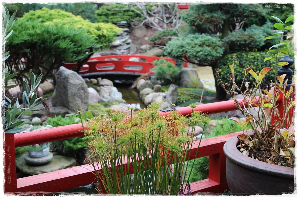 Ogród po japońsku 14 Ogród po japońsku 14
