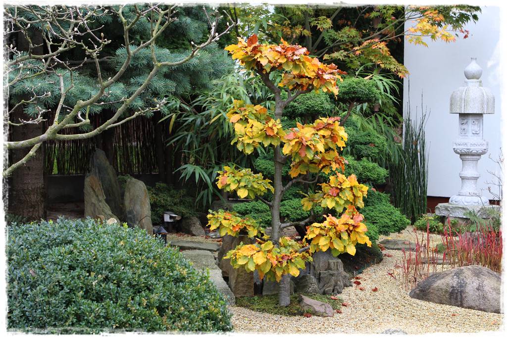 Ogród po japońsku 19 Ogród po japońsku 19